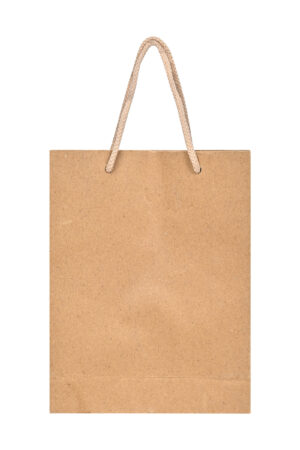 Kraft Paper Brown Bags (50 Count) Horizontal Big 16x12x3.5 - No Plastic  Shop
