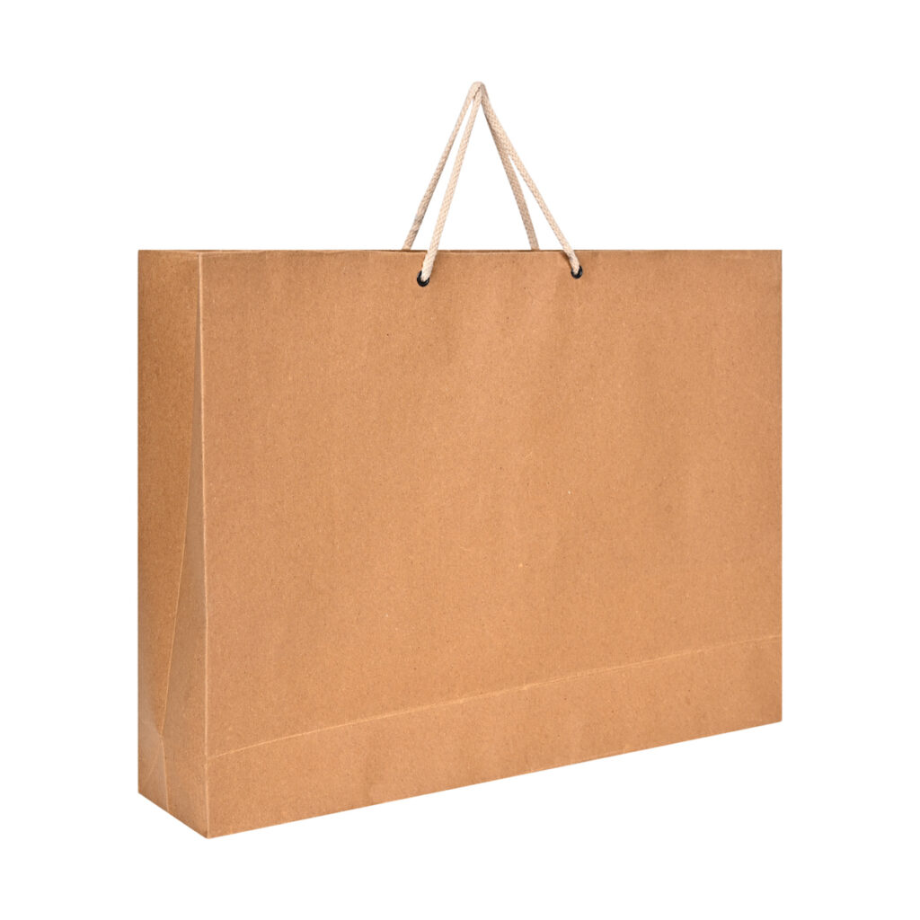 Kraft Paper Brown Bags 5 Count Horizontal Big 16 x12 x3.5 No Plastic Shop