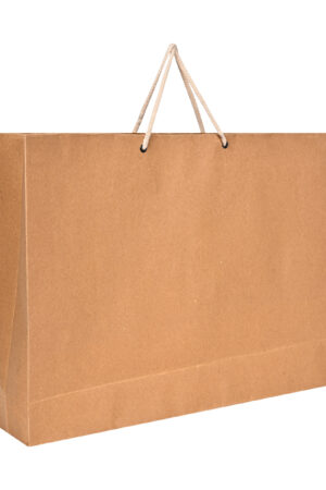 Paper bag png transparent, food packaging for takeaway | premium image by  rawpixel.com / jingpixar | Paper bag, Clear paper, Brown bags